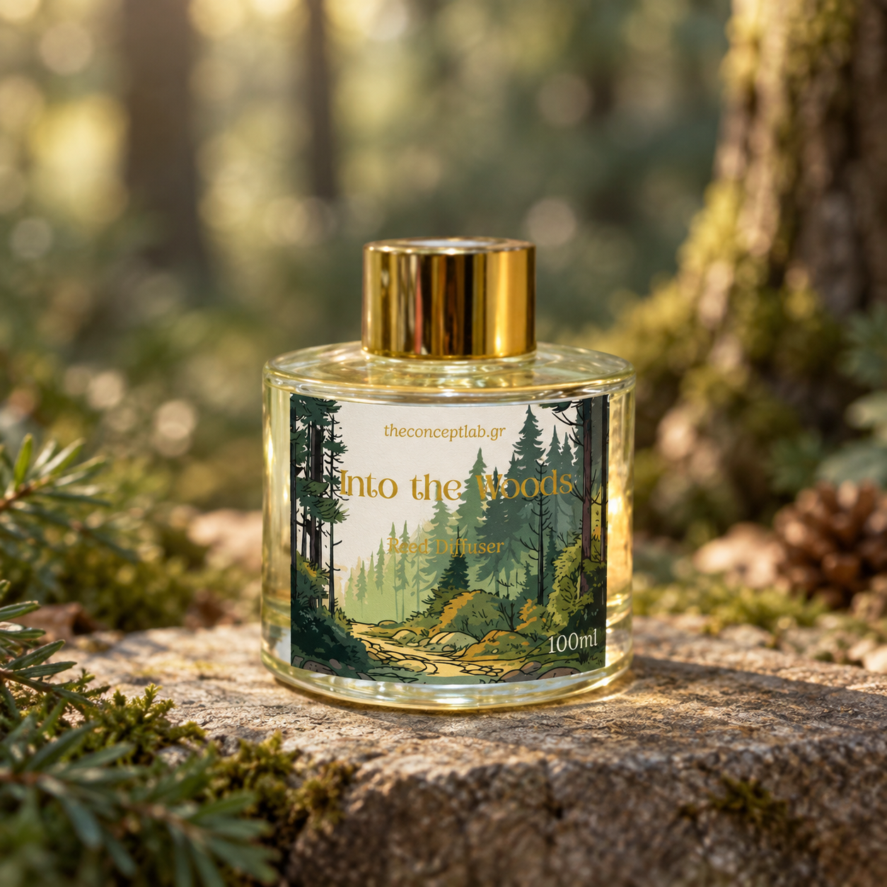 Αρωματικό Χώρου με Sticks – Into the Woods 100ml